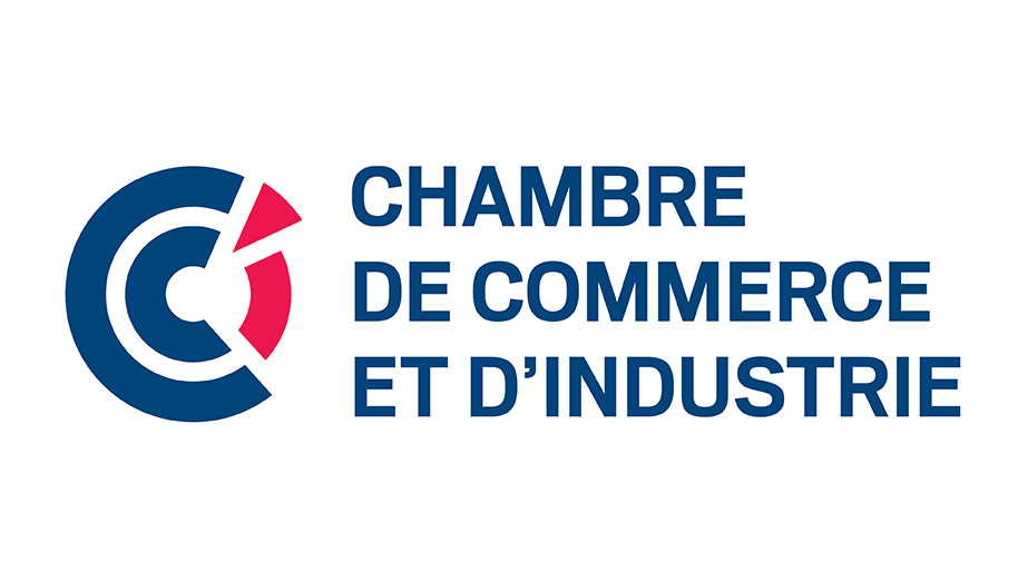 Commission des affaires économiques : M. Alain Di Crescenzo, président de CCI France - Mardi 11 février 2025 - Vidéos de l